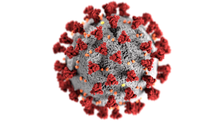 Corona Virus impacts felt throughout the running community